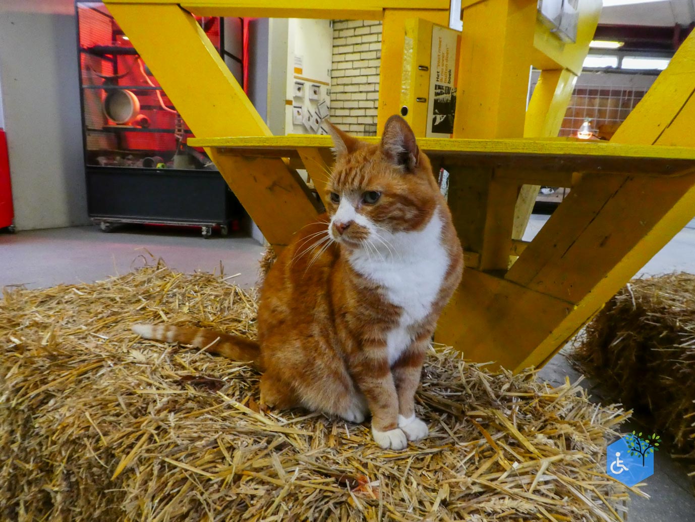 Utrecht_Stadsboerderij_Gagelsteede_14-11-2025-21 Utrecht_Stadsboerderij_Gagelsteede_14-11-2025-21