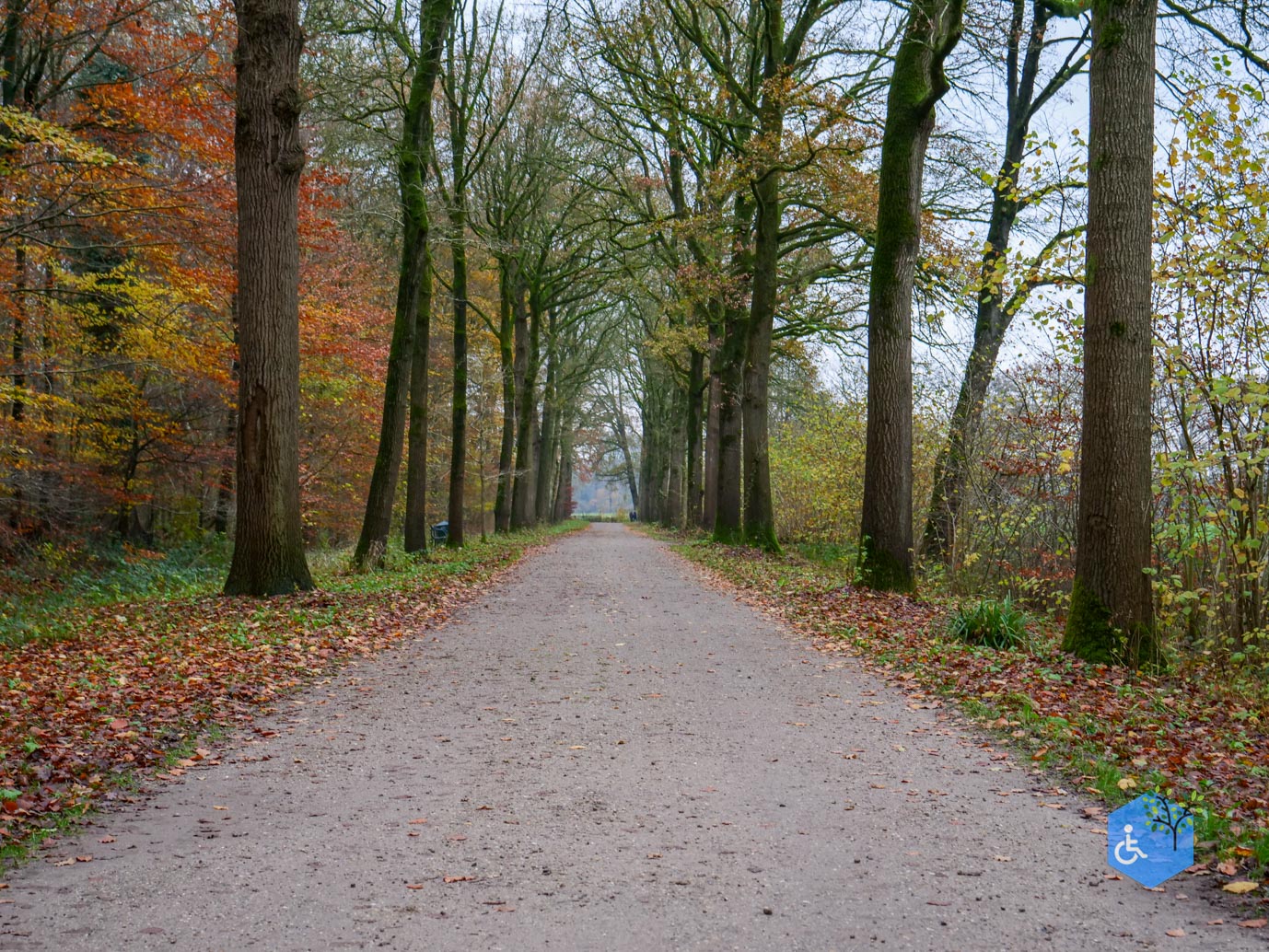 Bunnik_Landgoederenroute_28-11-2025-08