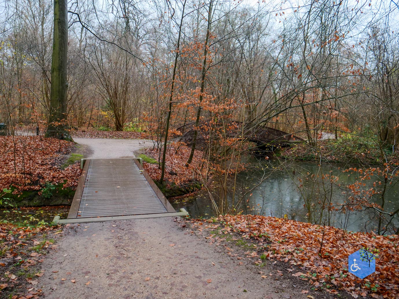 Bunnik_Landgoederenroute_28-11-2025-20