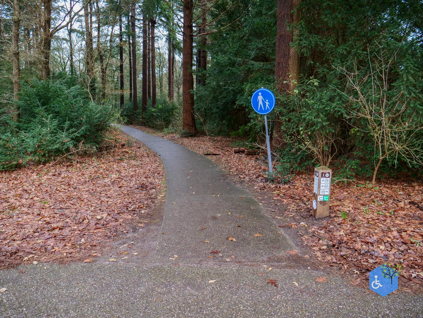 Echten_Familiepad_Ruinen_07-12-2025-02