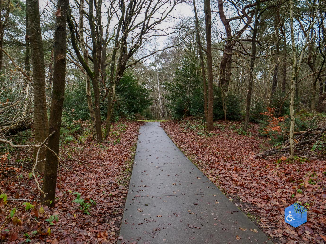 Echten_Familiepad_Ruinen_07-12-2025-03