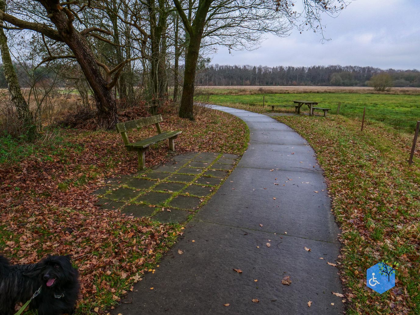 Echten_Familiepad_Ruinen_07-12-2025-10