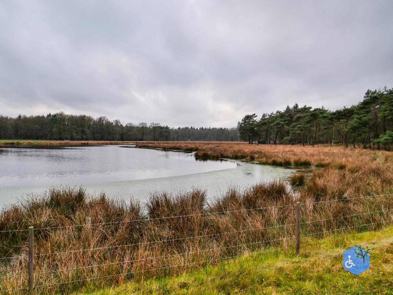 Echten_Familiepad_Ruinen_07-12-2025-15