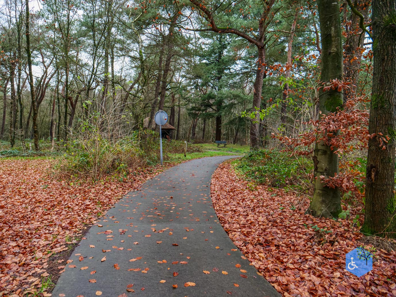 Echten_Familiepad_Ruinen_07-12-2025-17