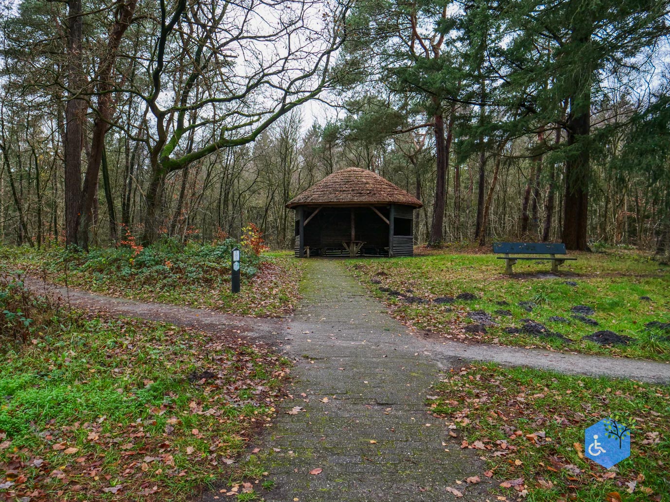 Echten_Familiepad_Ruinen_07-12-2025-18