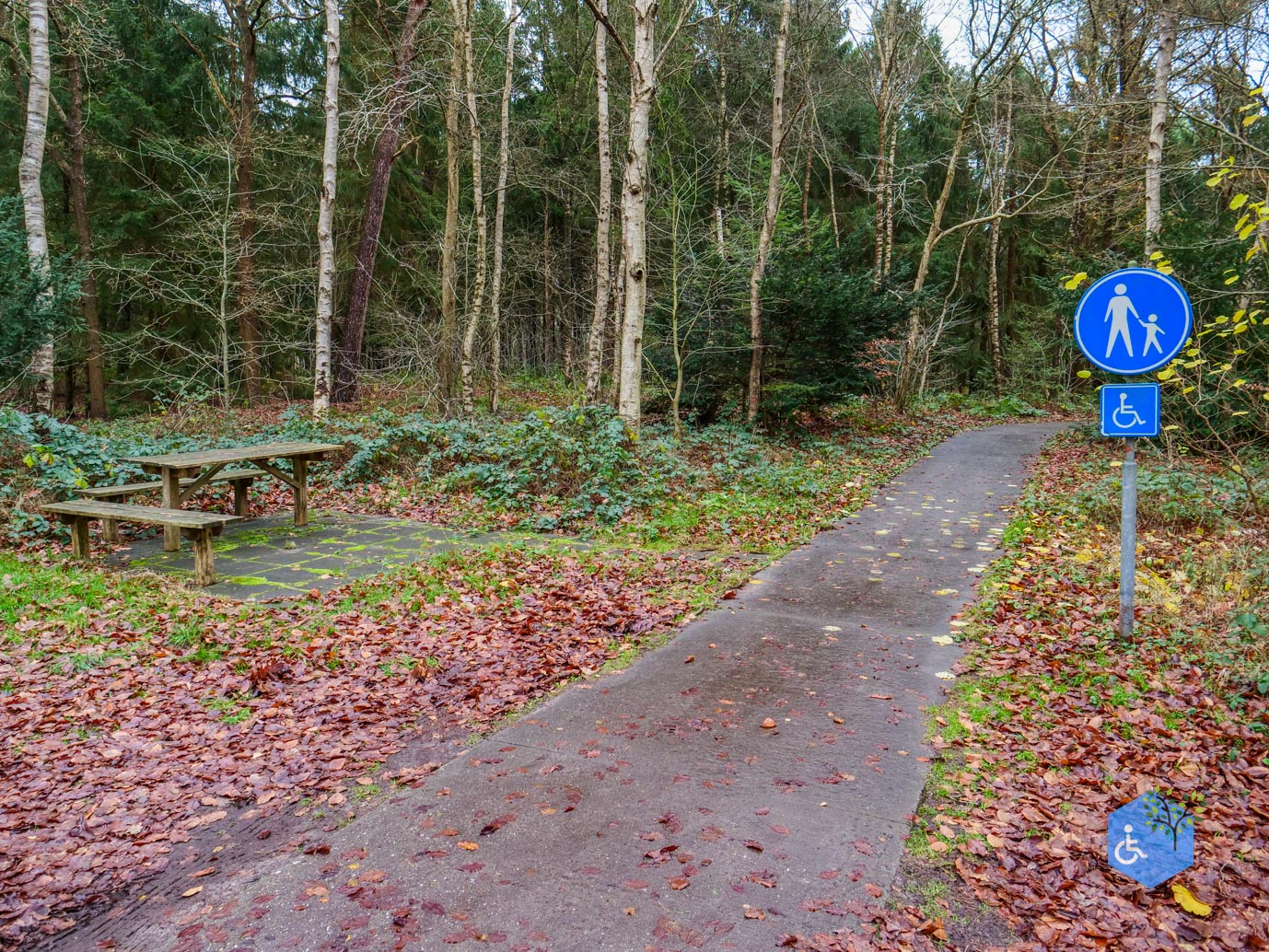 Echten_Familiepad_Ruinen_07-12-2025-22