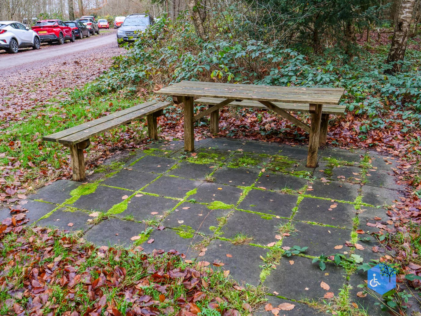 Echten_Familiepad_Ruinen_07-12-2025-23