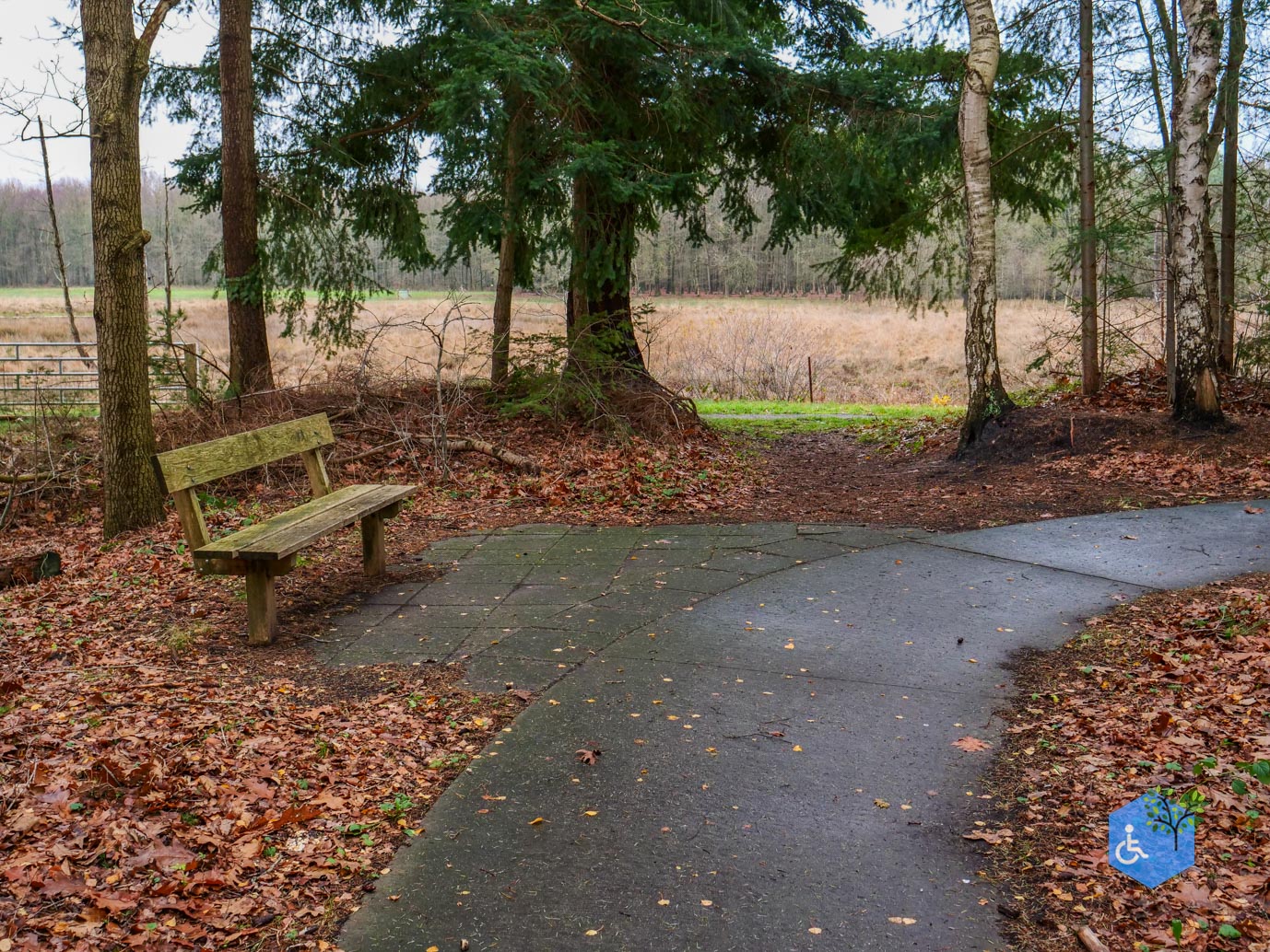 Echten_Familiepad_Ruinen_07-12-2025-27