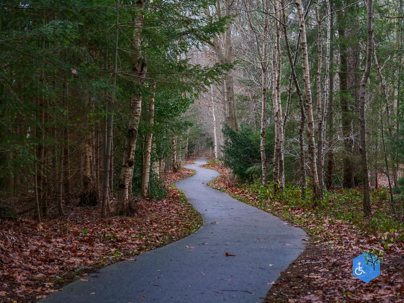 Echten_Familiepad_Ruinen_07-12-2025-29