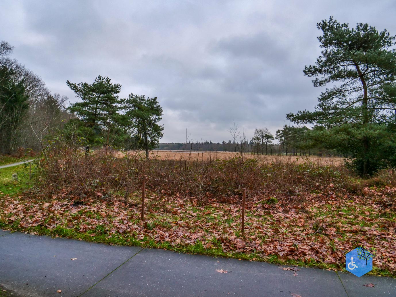 Echten_Familiepad_Ruinen_07-12-2025-33