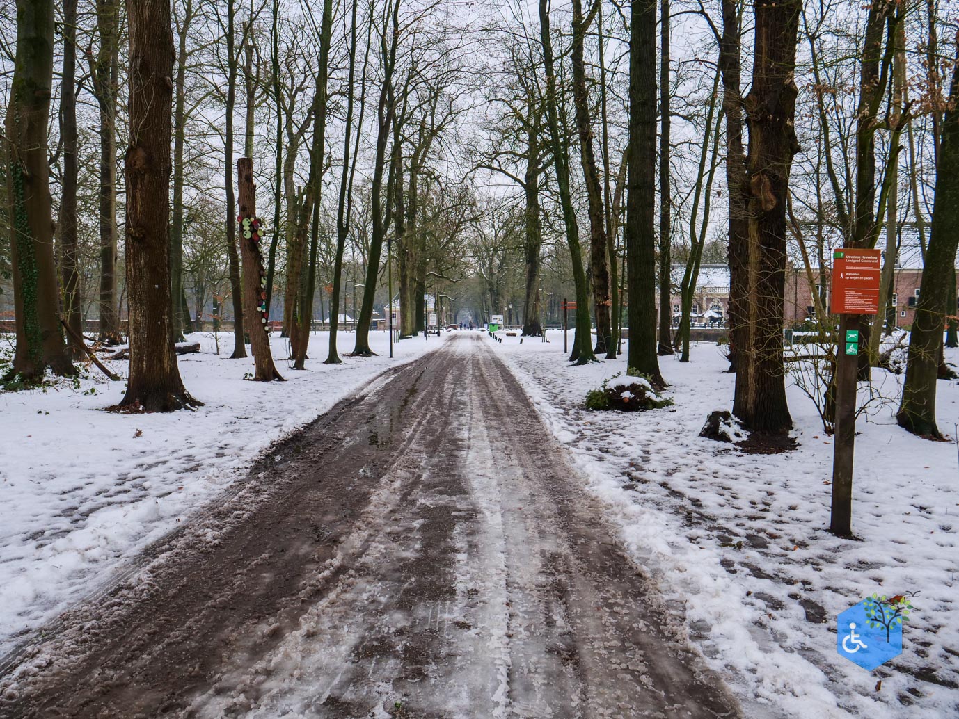 Baarn_Groeneveld_08-01-2025-04