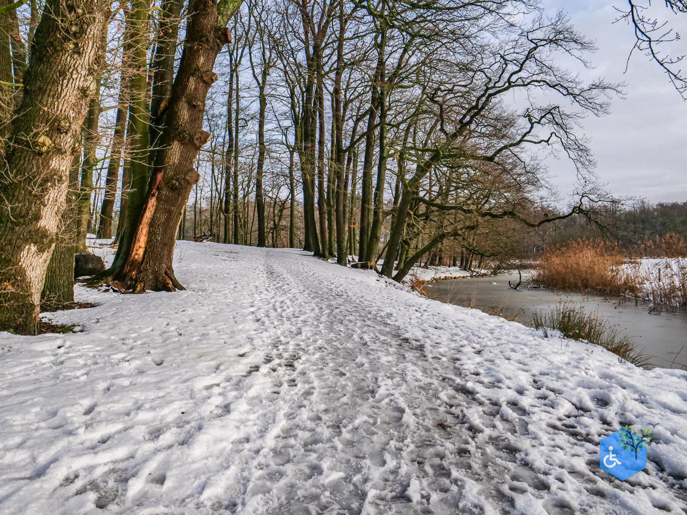 Baarn_Groeneveld_08-01-2025-32