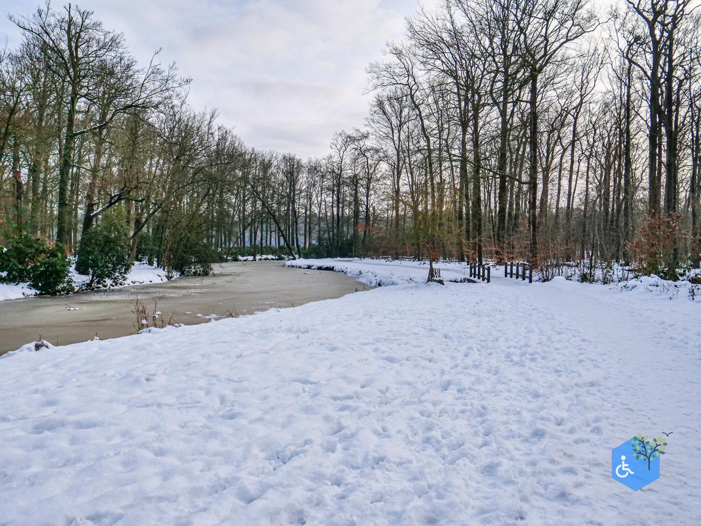 Baarn_Groeneveld_08-01-2025-60