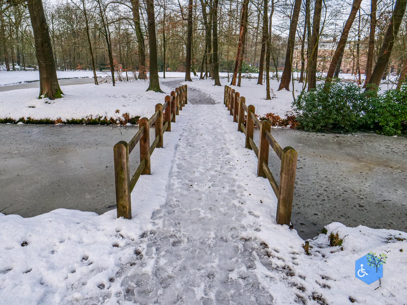 Baarn_Groeneveld_08-01-2025-70