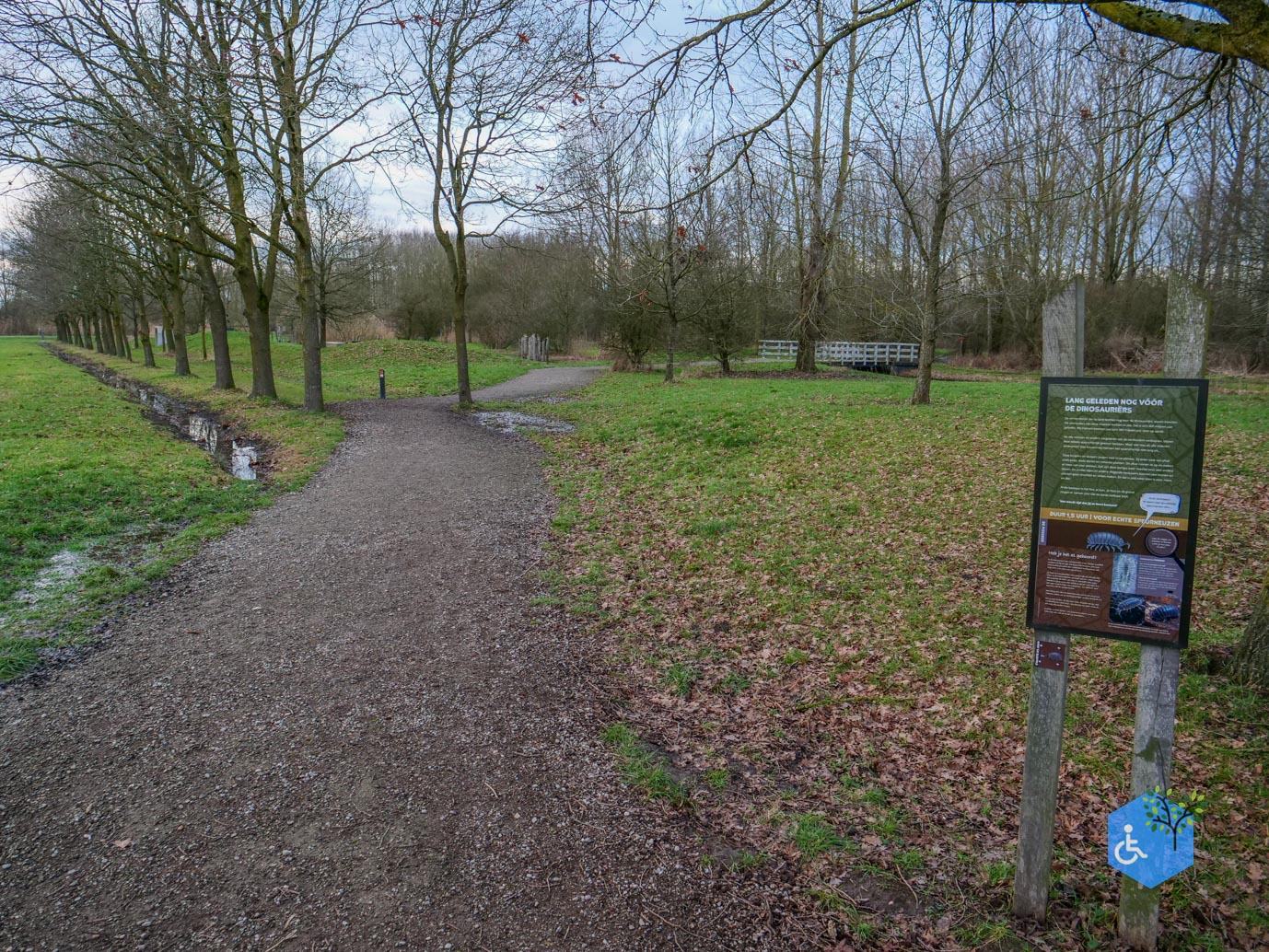 Houten_Avontuurlijk_Nieuw_Wulven_16-01-2026-01