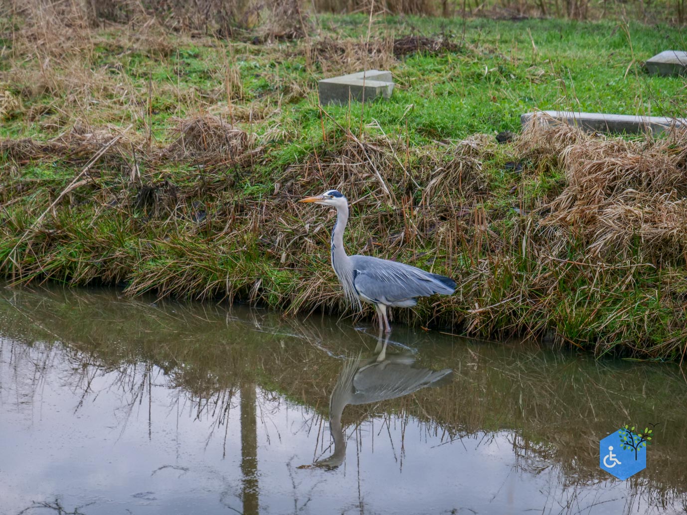 Houten_Avontuurlijk_Nieuw_Wulven_16-01-2026-02
