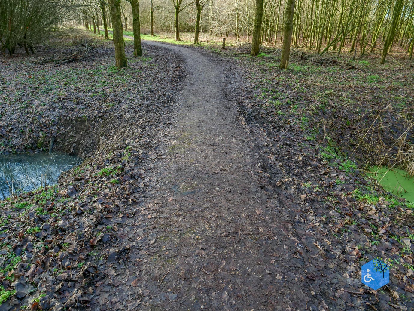 Houten_Avontuurlijk_Nieuw_Wulven_16-01-2026-05