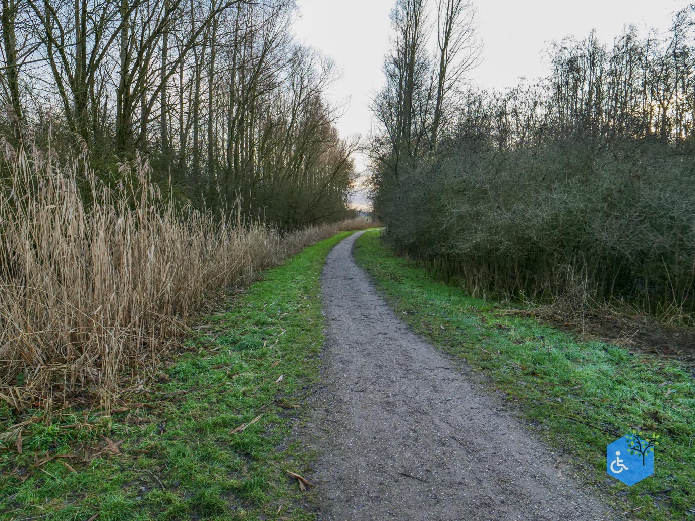 Houten_Avontuurlijk_Nieuw_Wulven_16-01-2026-06