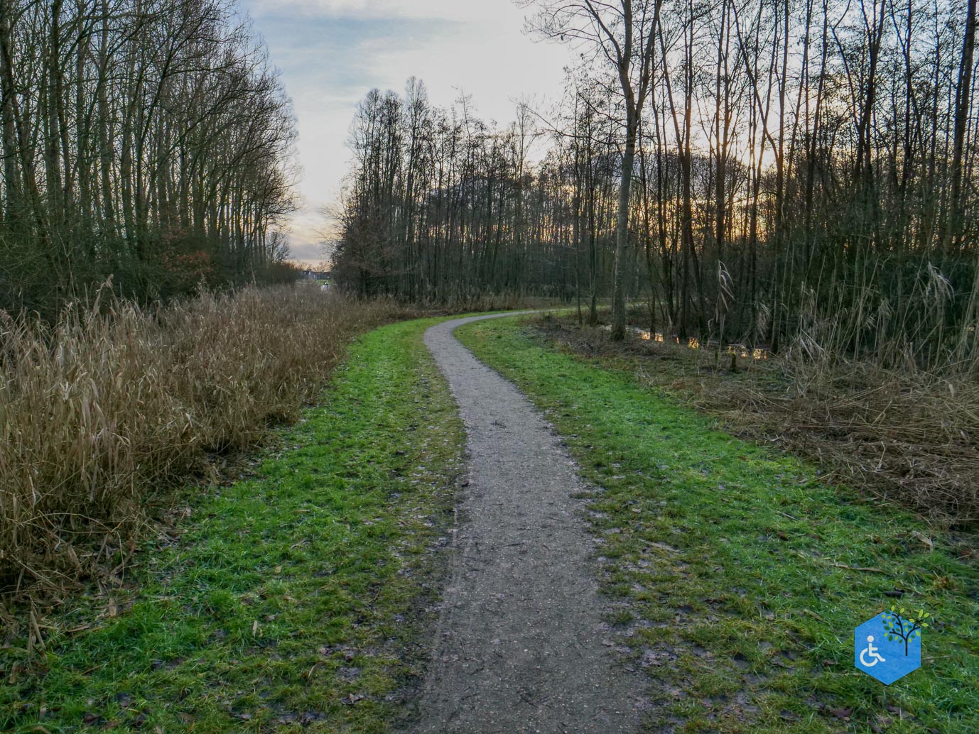 Houten_Avontuurlijk_Nieuw_Wulven_16-01-2026-07