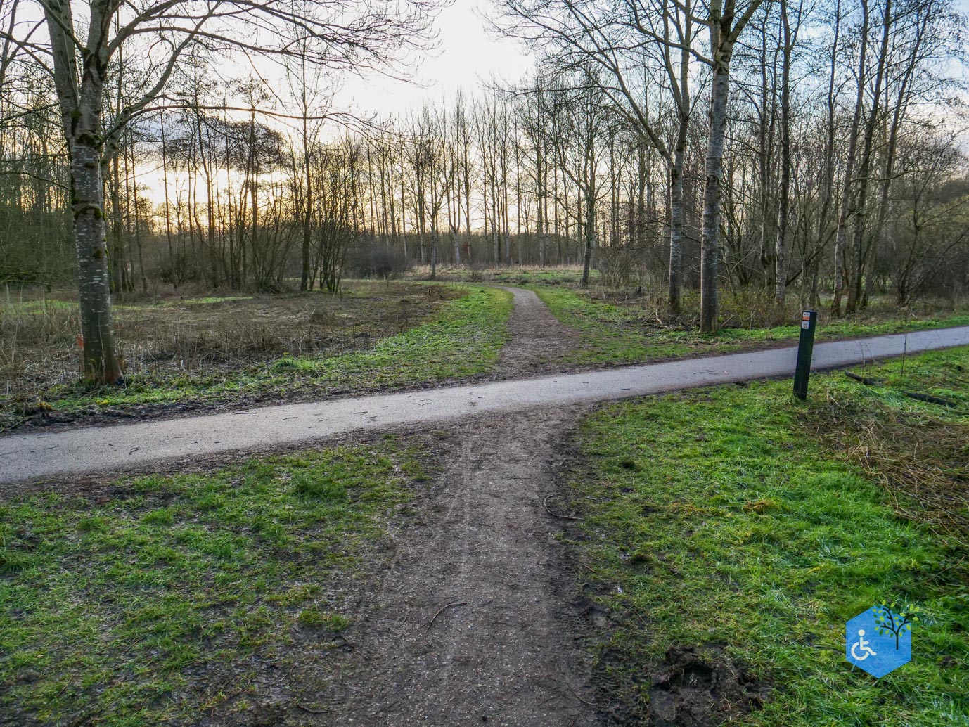 Houten_Avontuurlijk_Nieuw_Wulven_16-01-2026-08