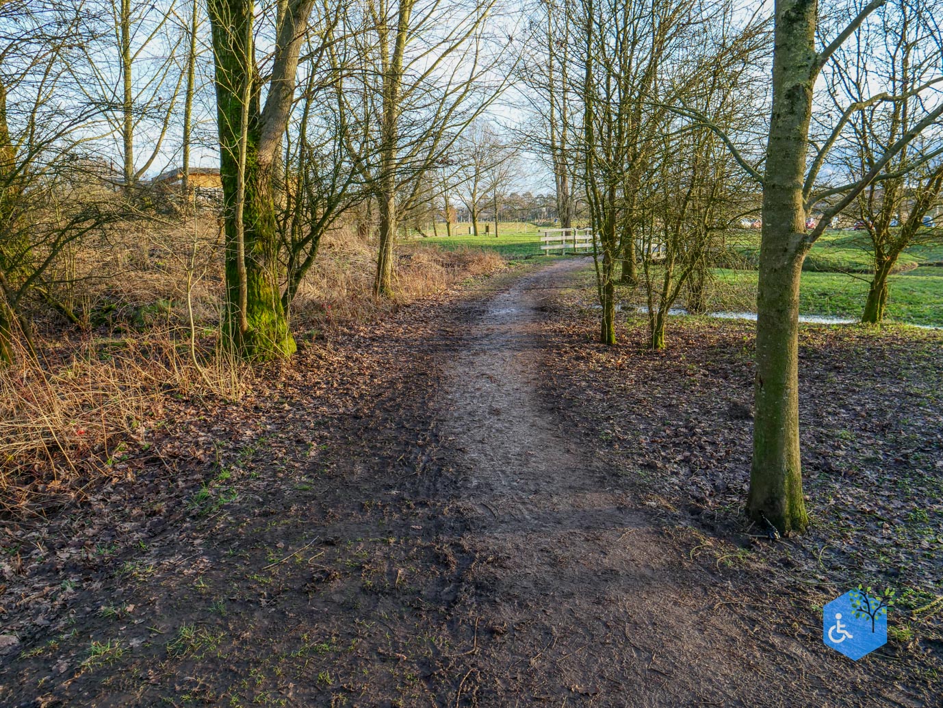 Houten_Avontuurlijk_Nieuw_Wulven_16-01-2026-12