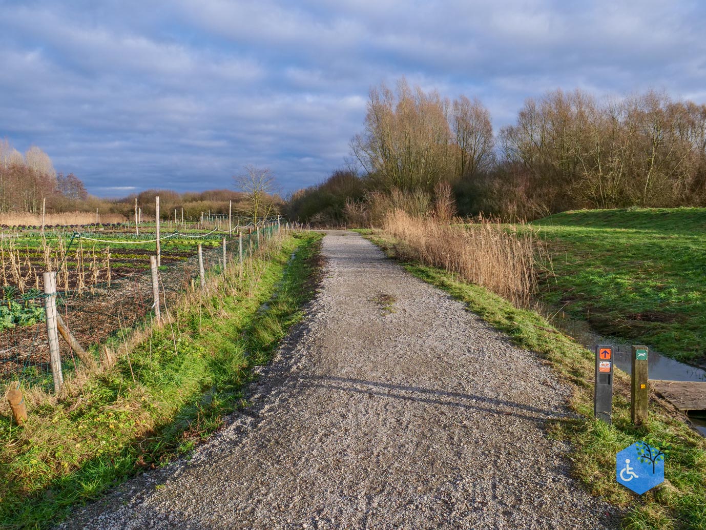 Houten_Rondje_Nieuw_Wulven_16-01-2026-04