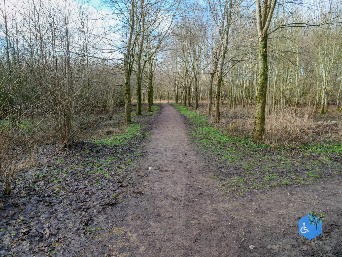 Houten_Rondje_Nieuw_Wulven_16-01-2026-06