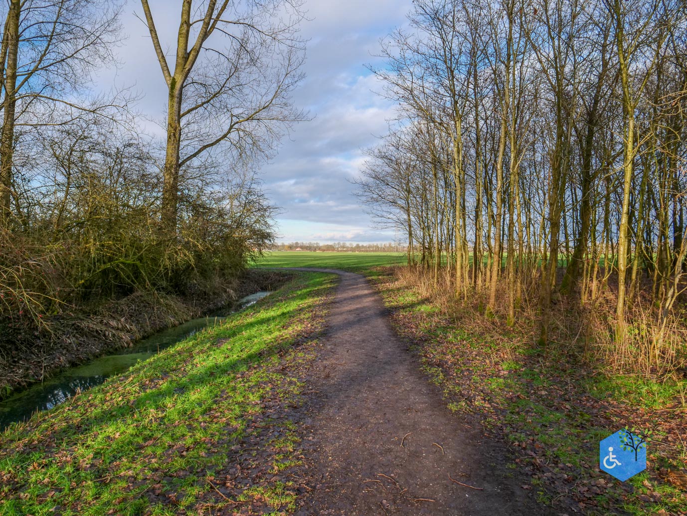 Houten_Rondje_Nieuw_Wulven_16-01-2026-07