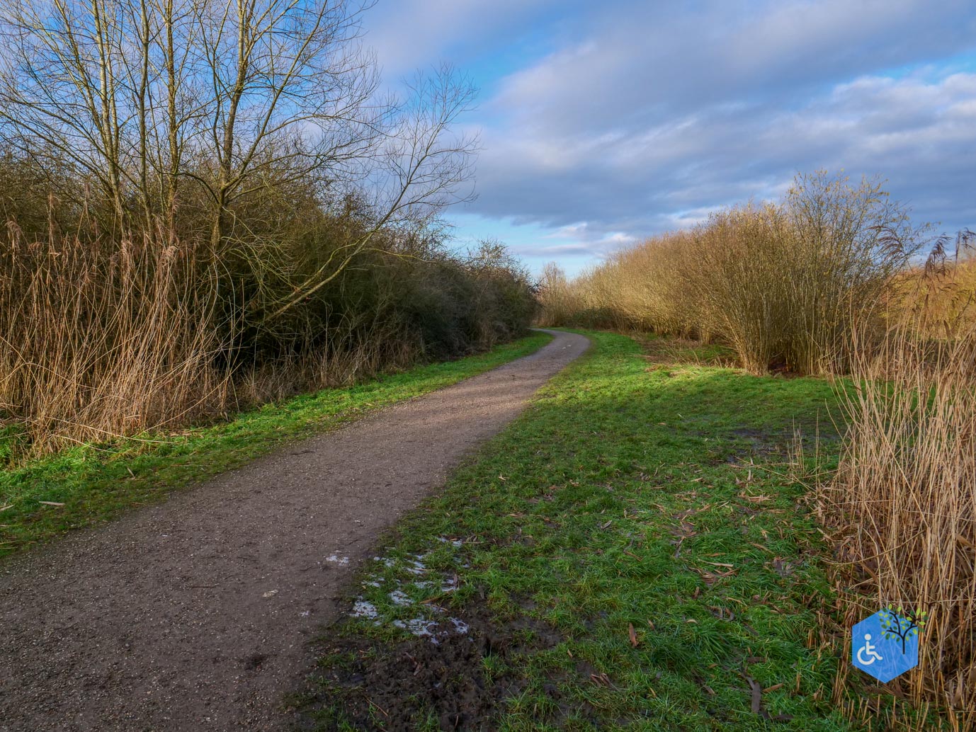 Houten_Rondje_Nieuw_Wulven_16-01-2026-08