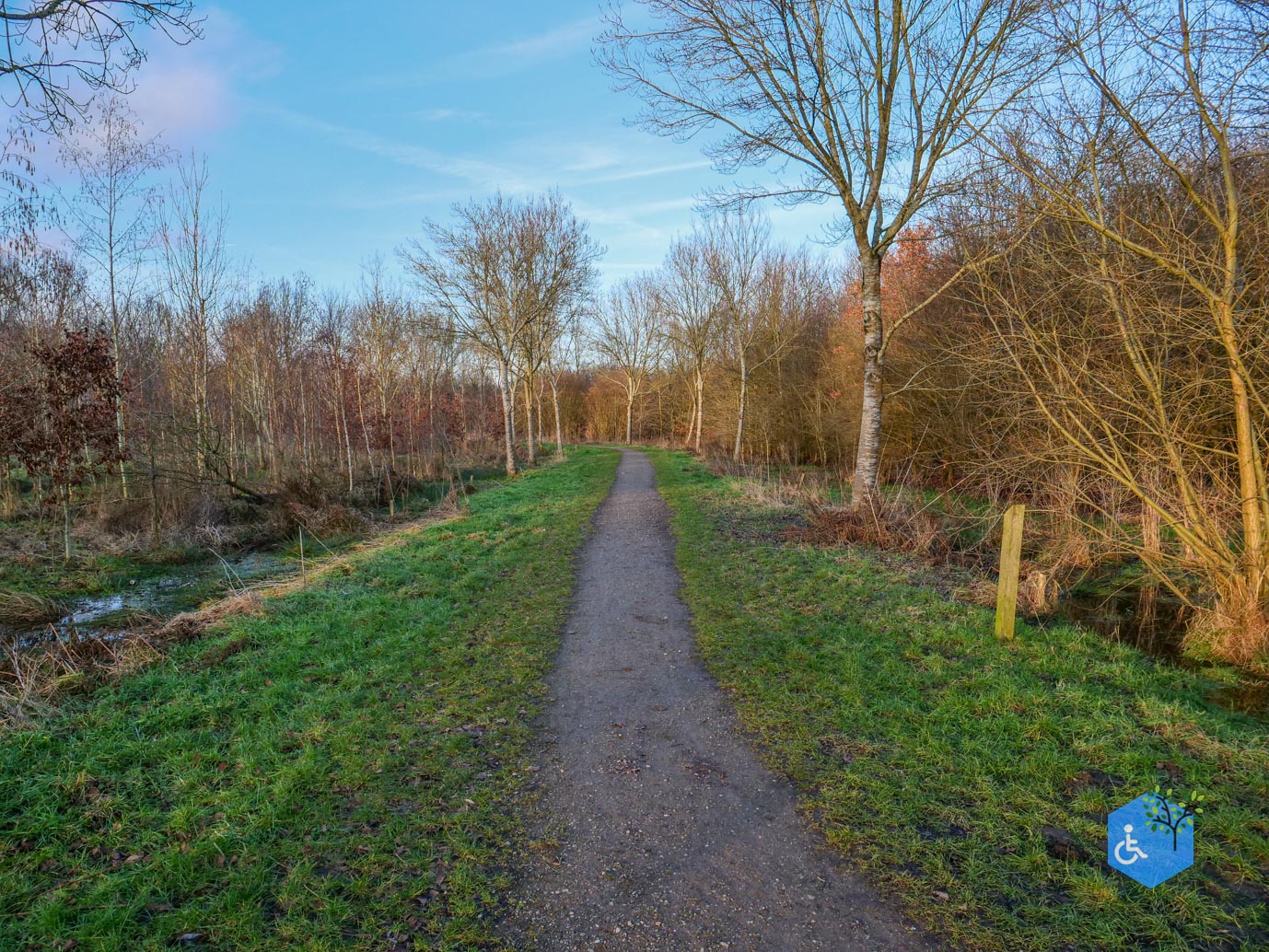 Houten_Rondje_Nieuw_Wulven_16-01-2026-32