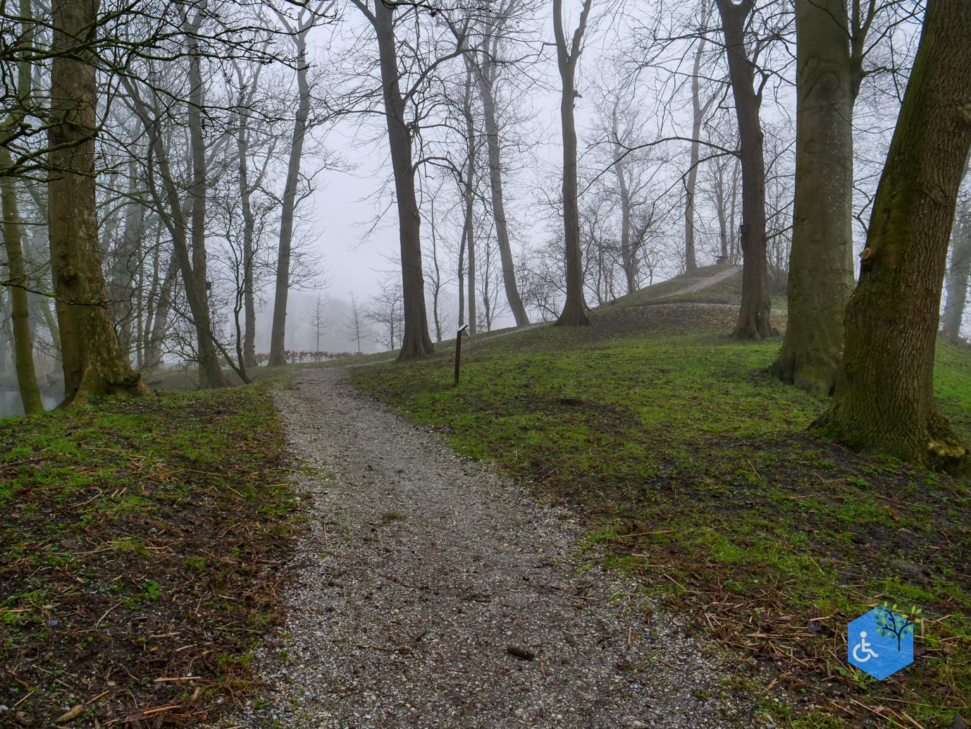 Raerd_Park_Jongemastate_18-01-2026-15