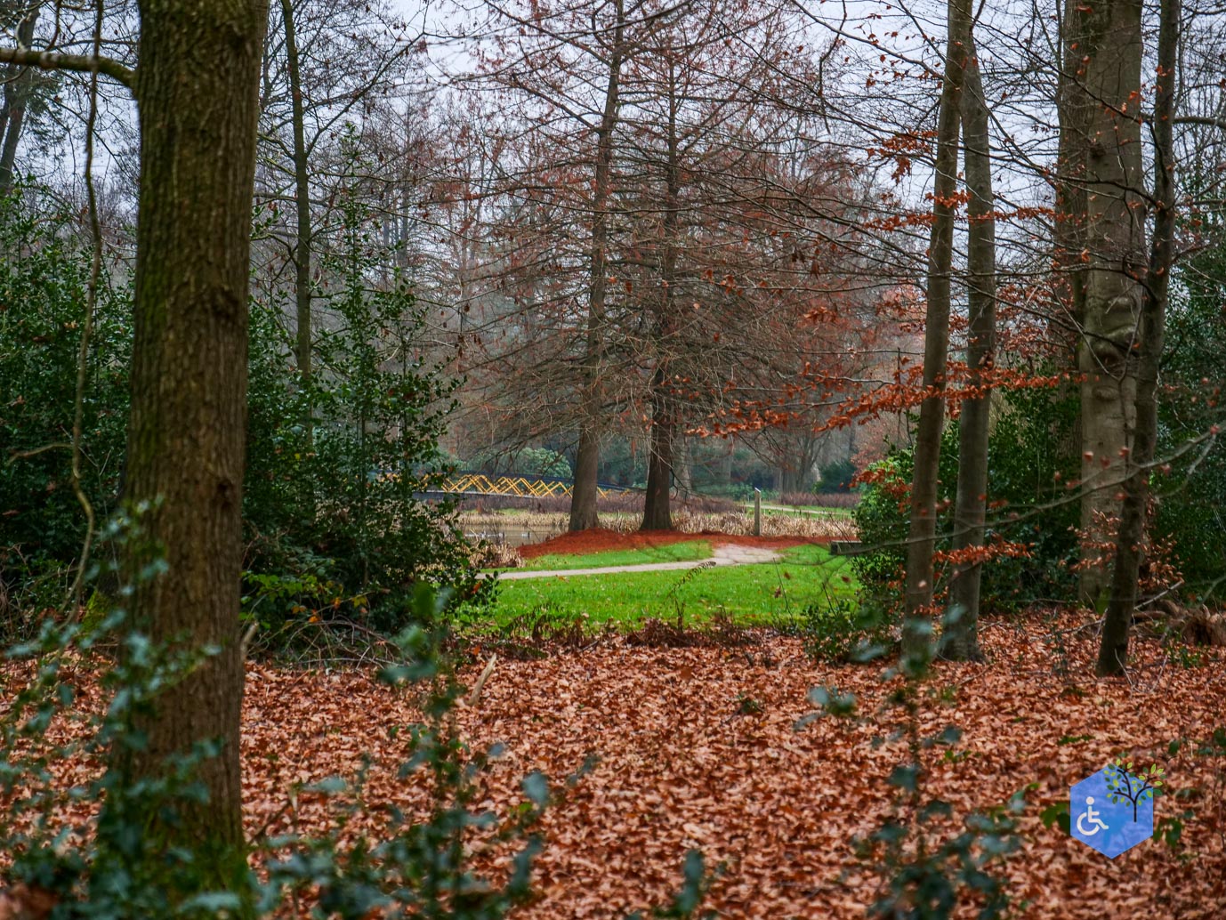 Vaassen_Kasteelpark_Cannenburch_17-12-2025-18