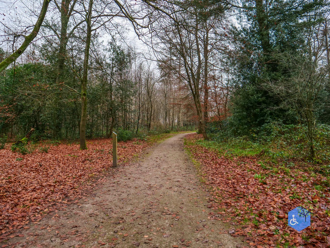 Vaassen_Kasteelpark_Cannenburch_17-12-2025-19