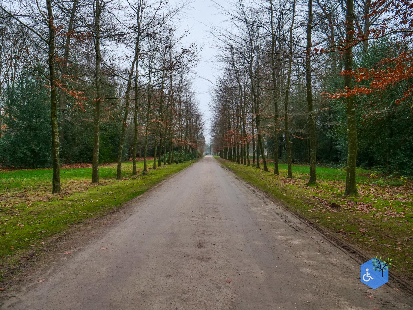 Vaassen_Kasteelpark_Cannenburch_17-12-2025-21