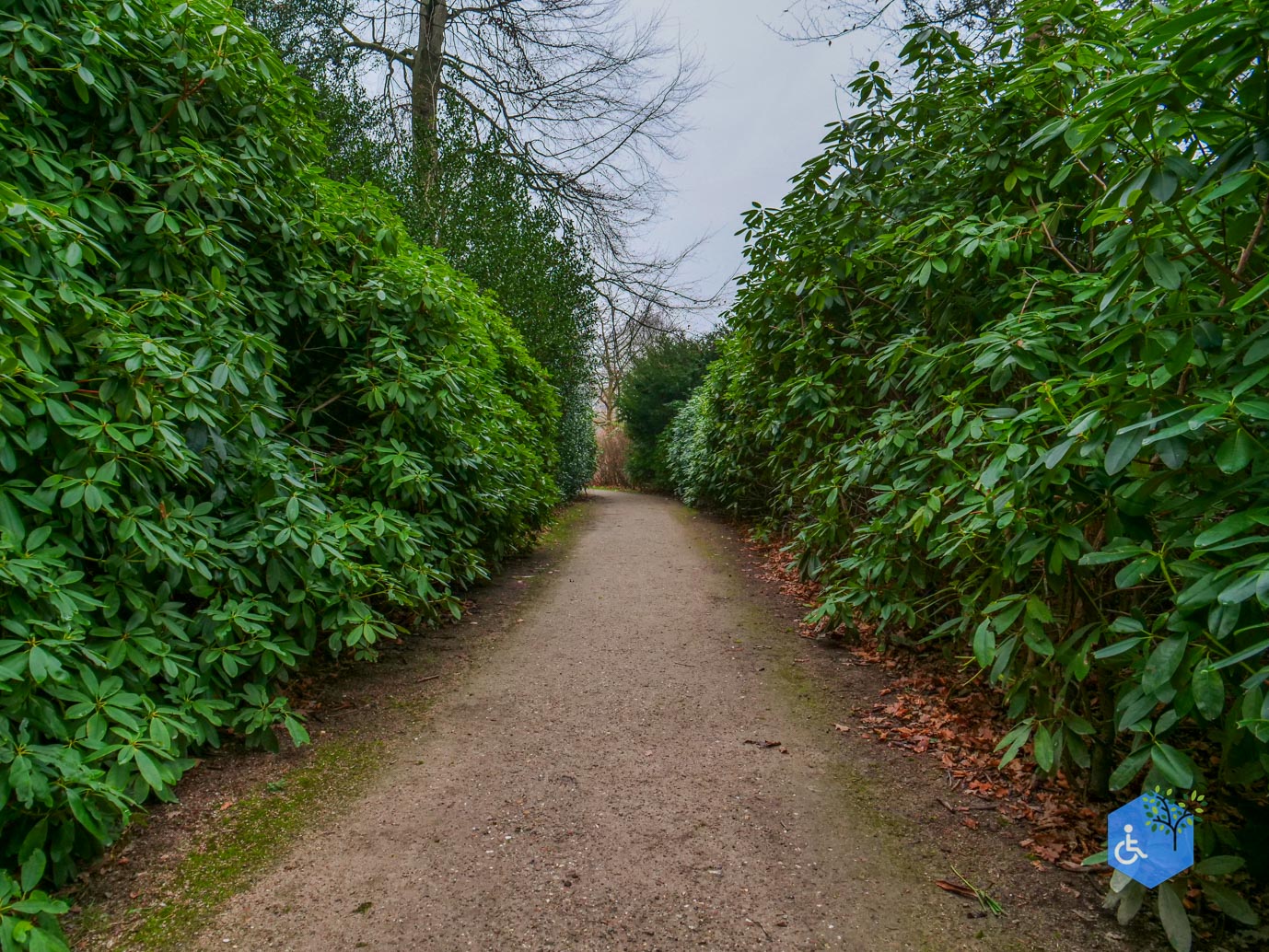 Vaassen_Kasteelpark_Cannenburch_17-12-2025-29