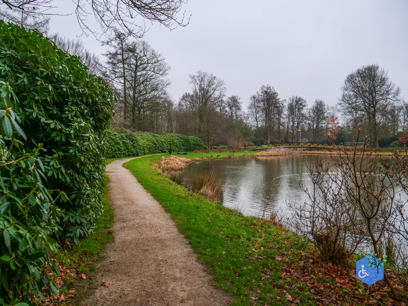 Vaassen_Kasteelpark_Cannenburch_17-12-2025-30