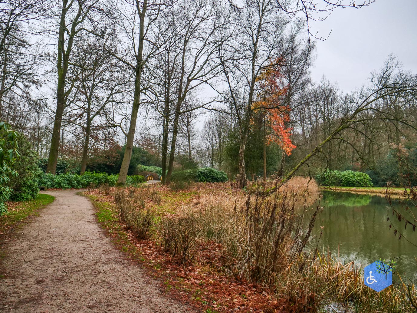 Vaassen_Kasteelpark_Cannenburch_17-12-2025-31