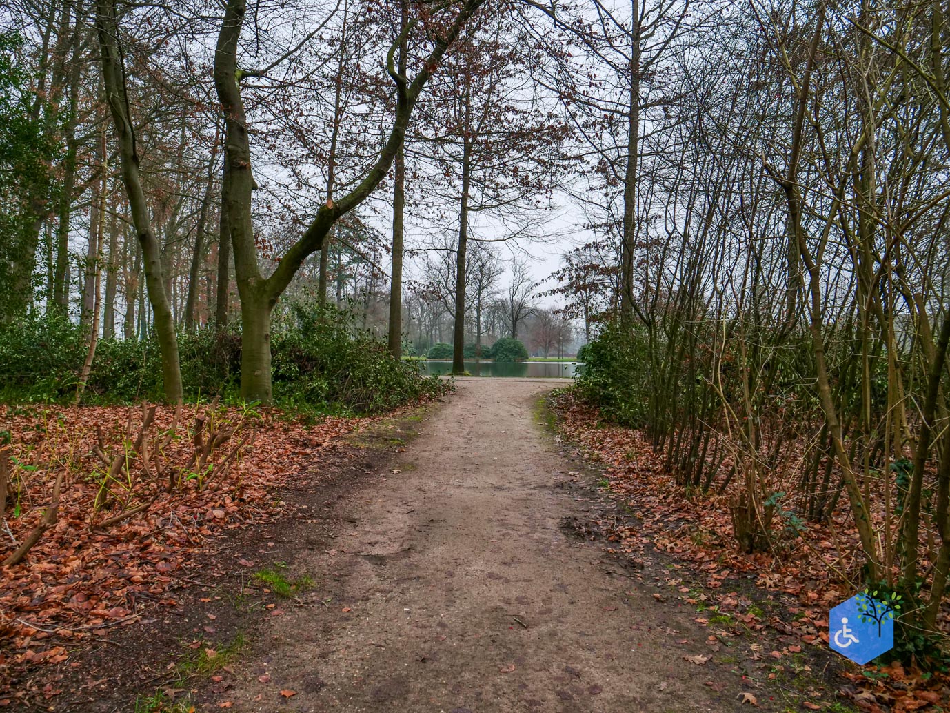 Vaassen_Kasteelpark_Cannenburch_17-12-2025-33