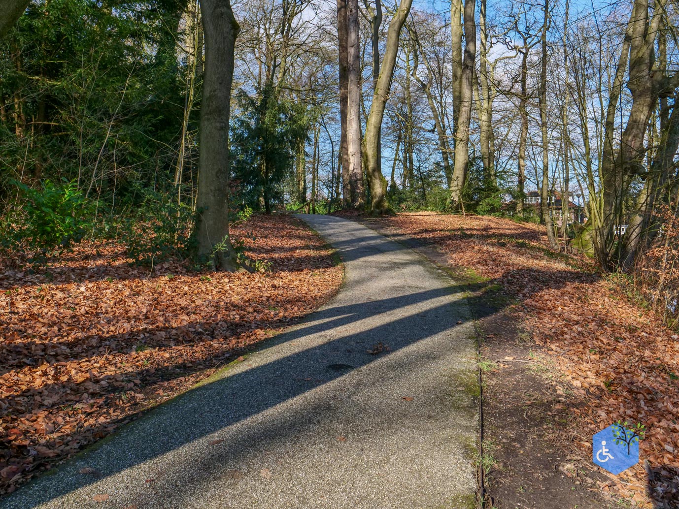 Amersfoort_Het_Beekdal_en_Park_Randenbroek_14-02-2026-17