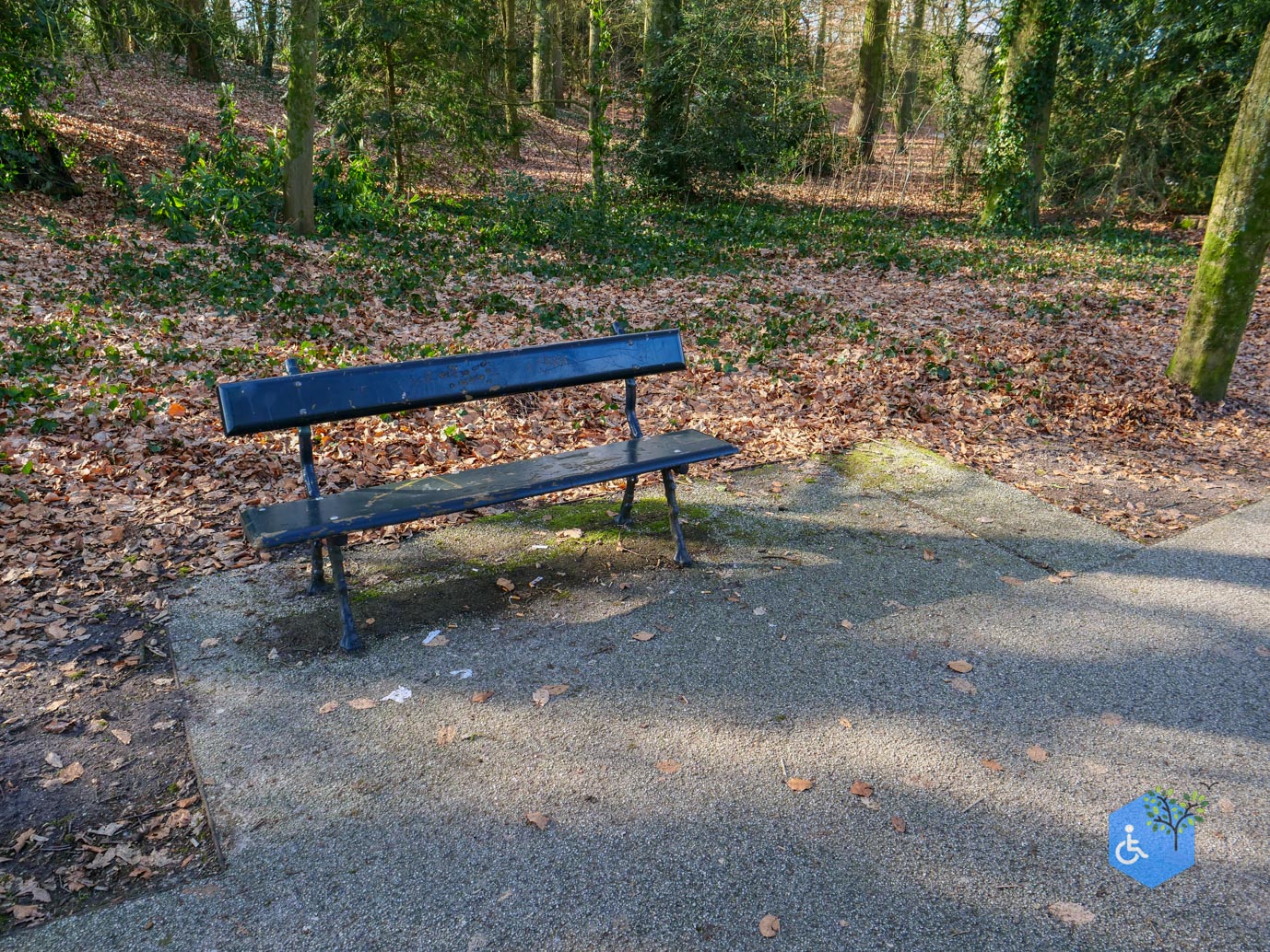 Amersfoort_Het_Beekdal_en_Park_Randenbroek_14-02-2026-19