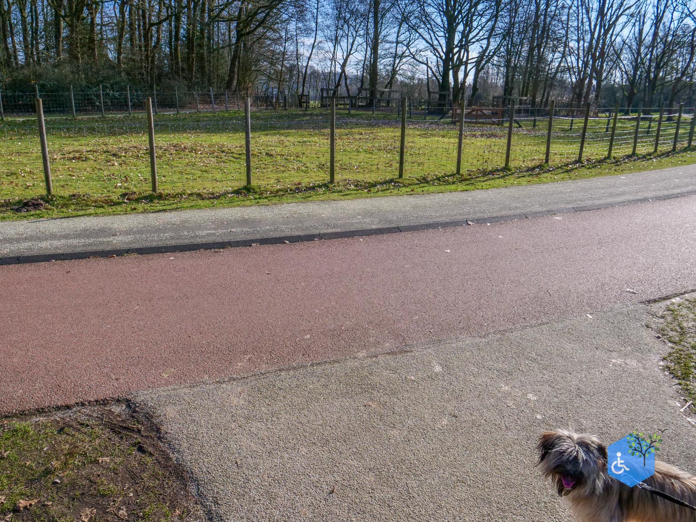 Amersfoort_Het_Beekdal_en_Park_Randenbroek_14-02-2026-54