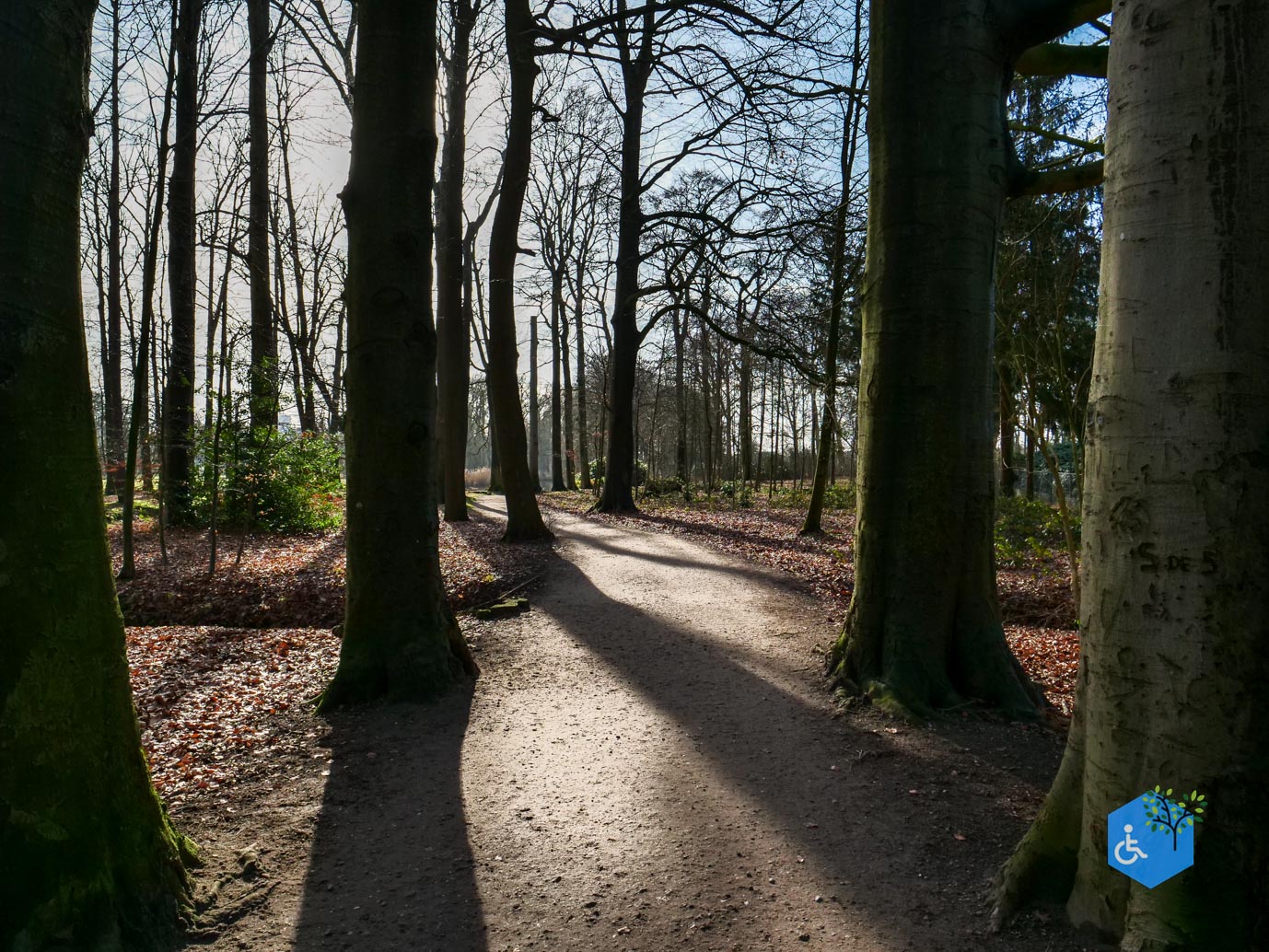 Barneveld_Landgoed_Schaffelaar_07-02-2026-17