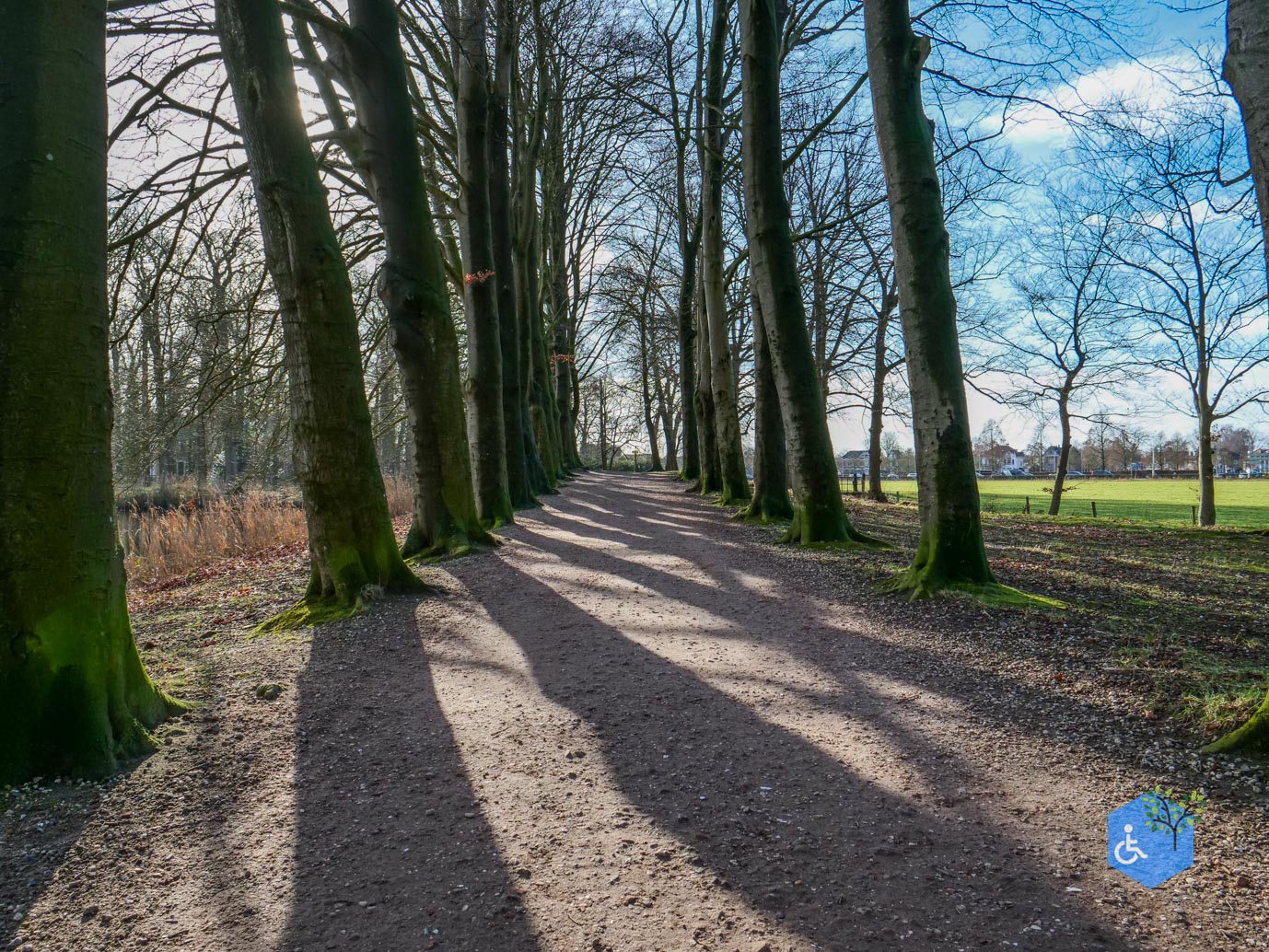 Barneveld_Landgoed_Schaffelaar_07-02-2026-26