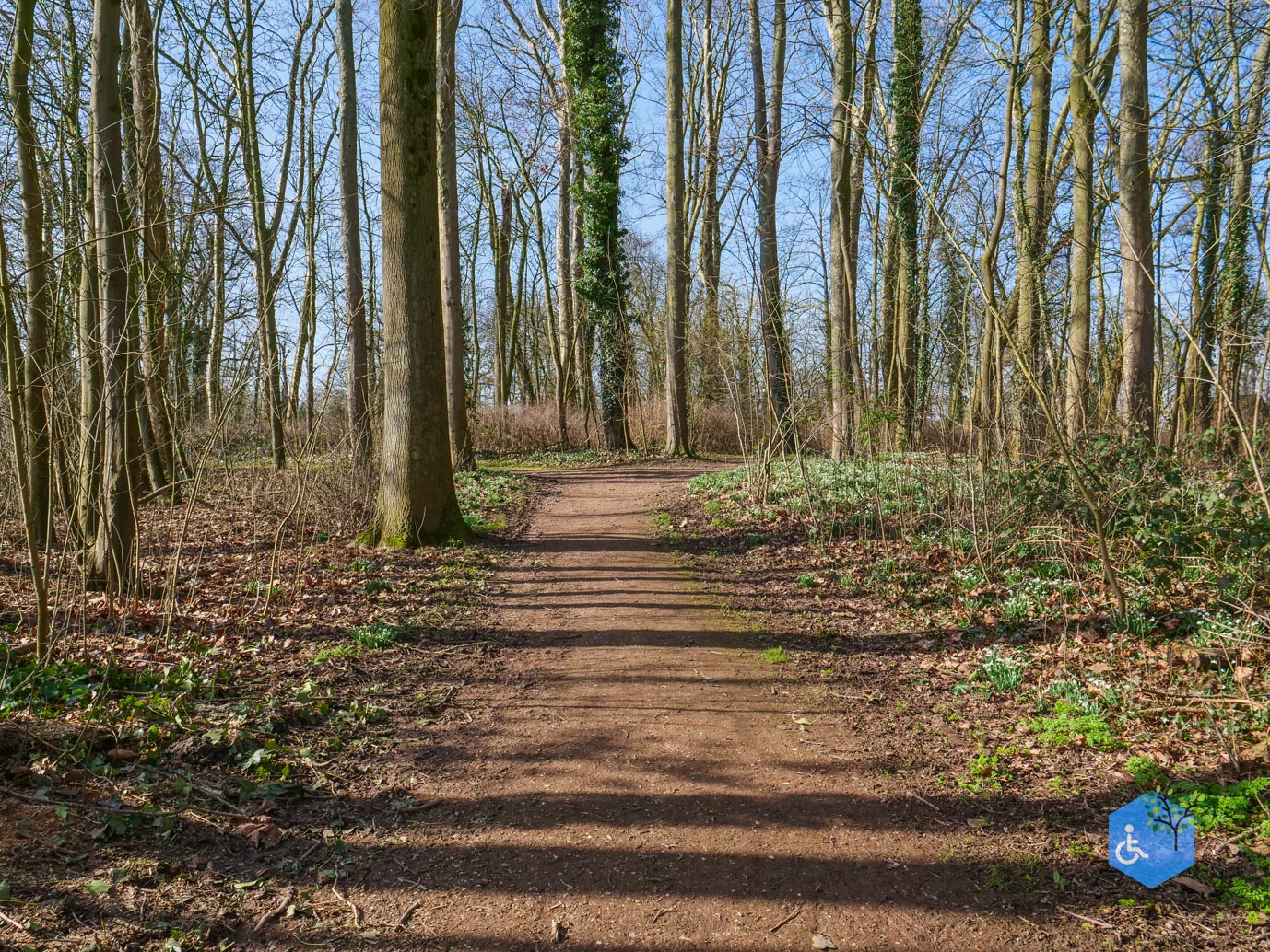 Brakel_Landgoed_Brakel_26-02-2026-16