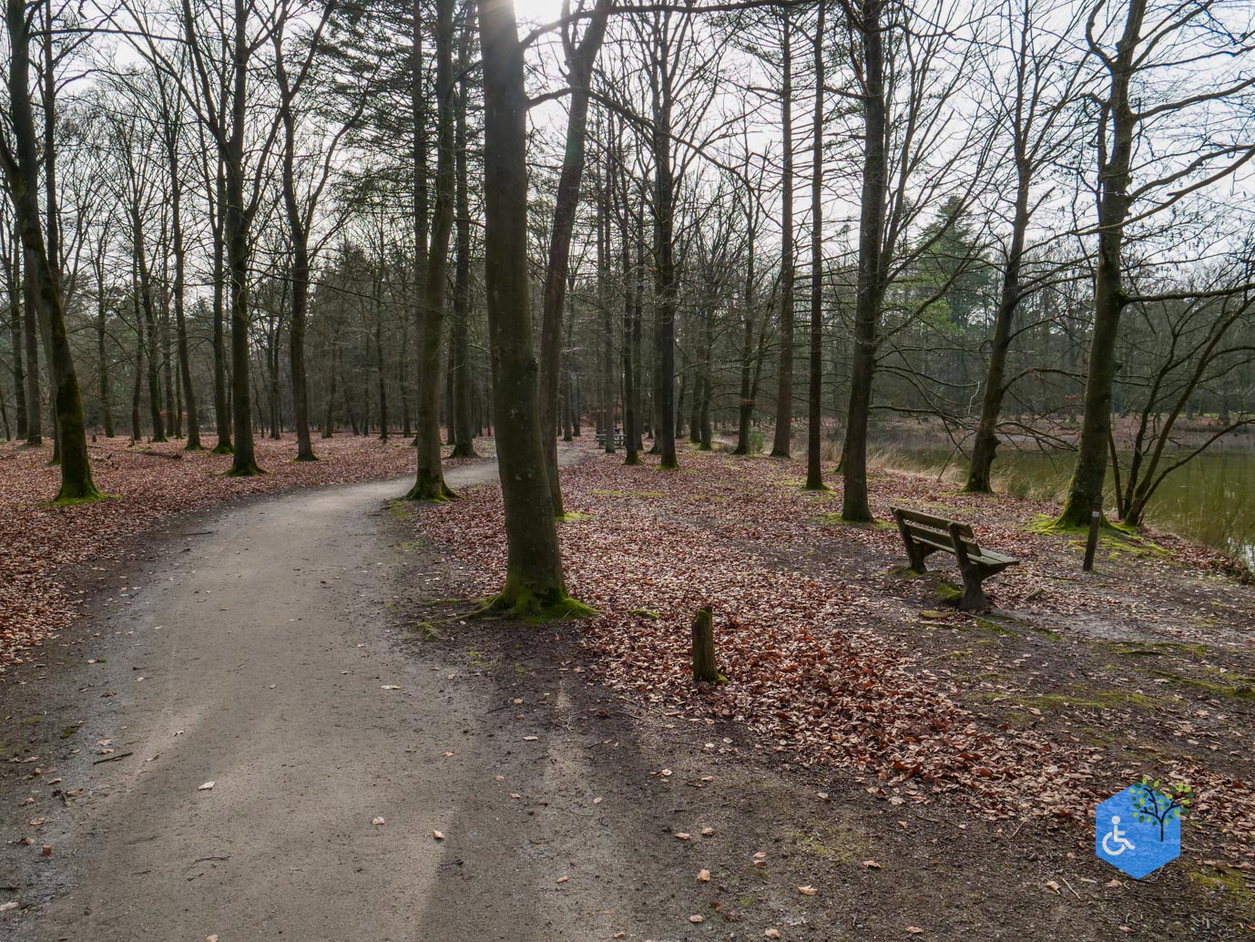 Eersel_Familiepad_Laarvenloopje_06-03-2026-13