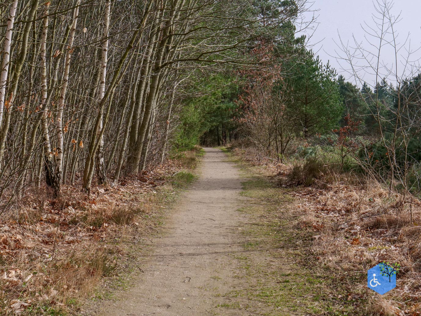 Eersel_Familiepad_Laarvenloopje_06-03-2026-25