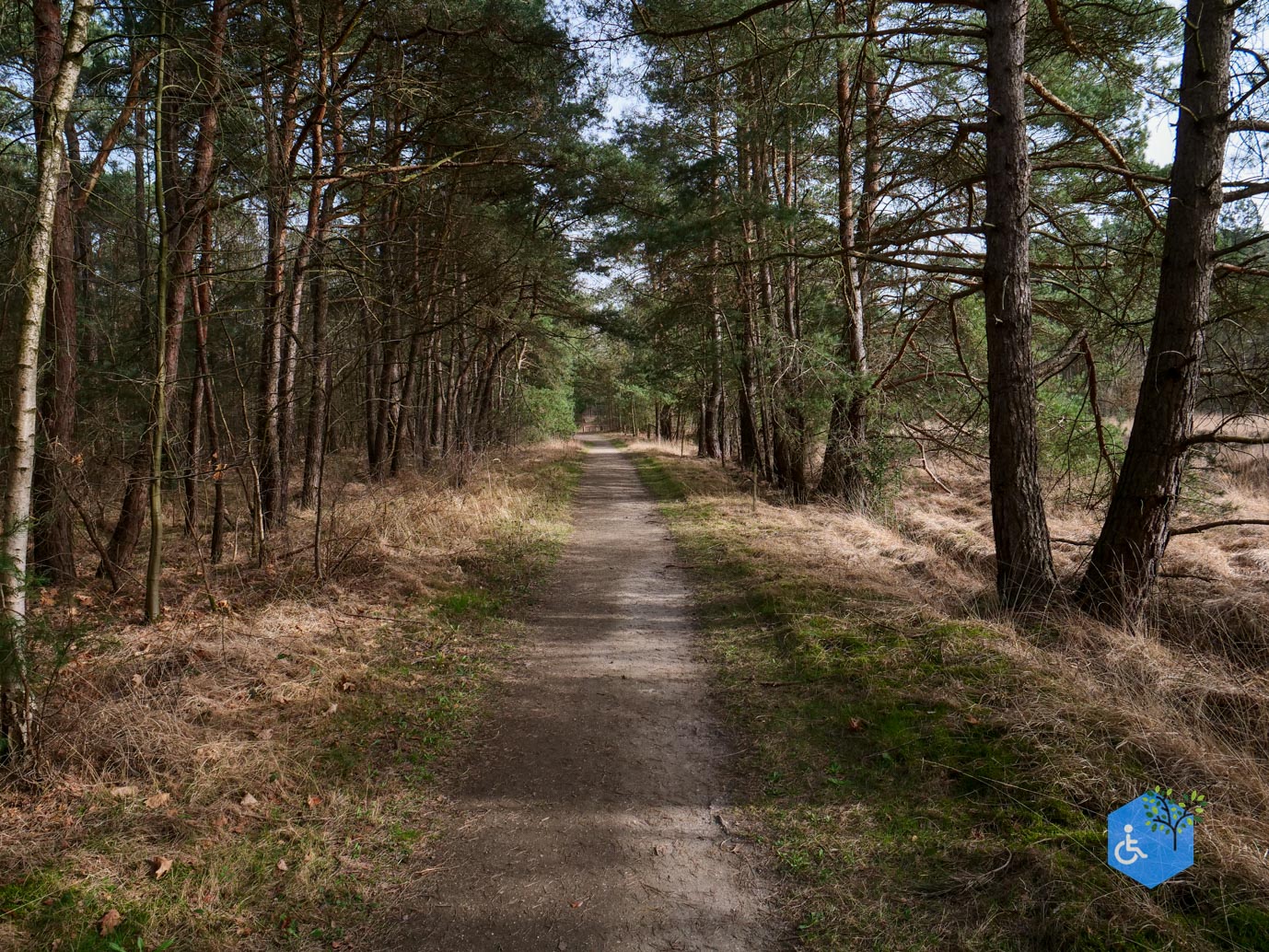 Eersel_Familiepad_Laarvenloopje_06-03-2026-26