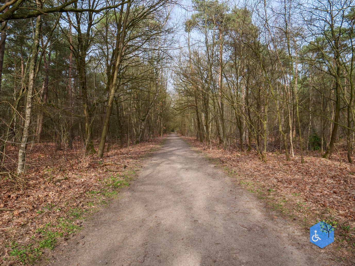 Eersel_Familiepad_Laarvenloopje_06-03-2026-27