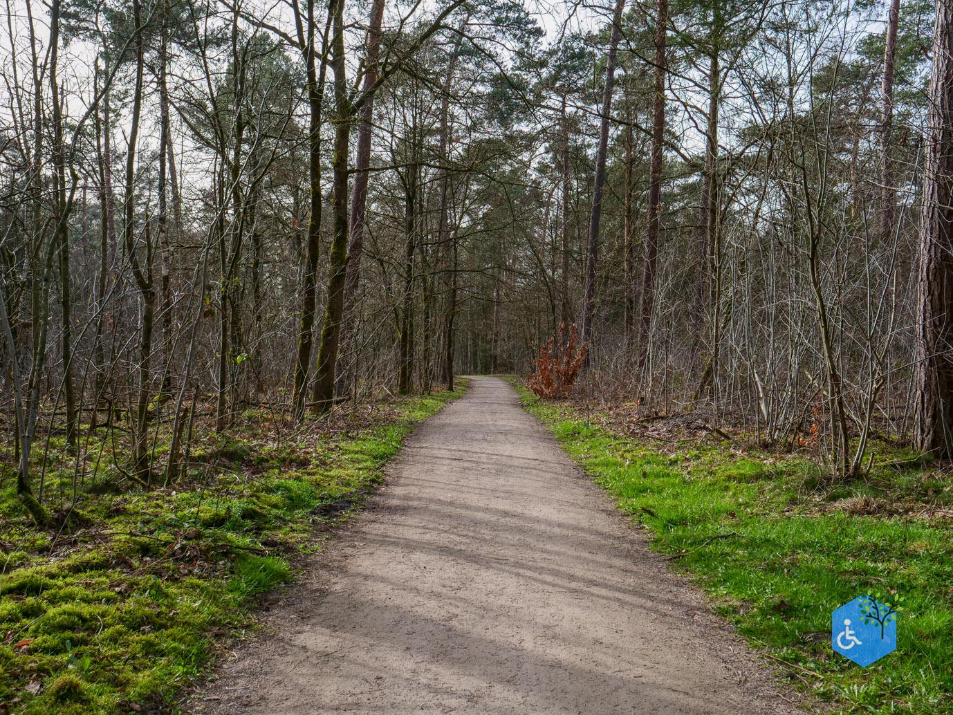 Eersel_Familiepad_Laarvenloopje_06-03-2026-6