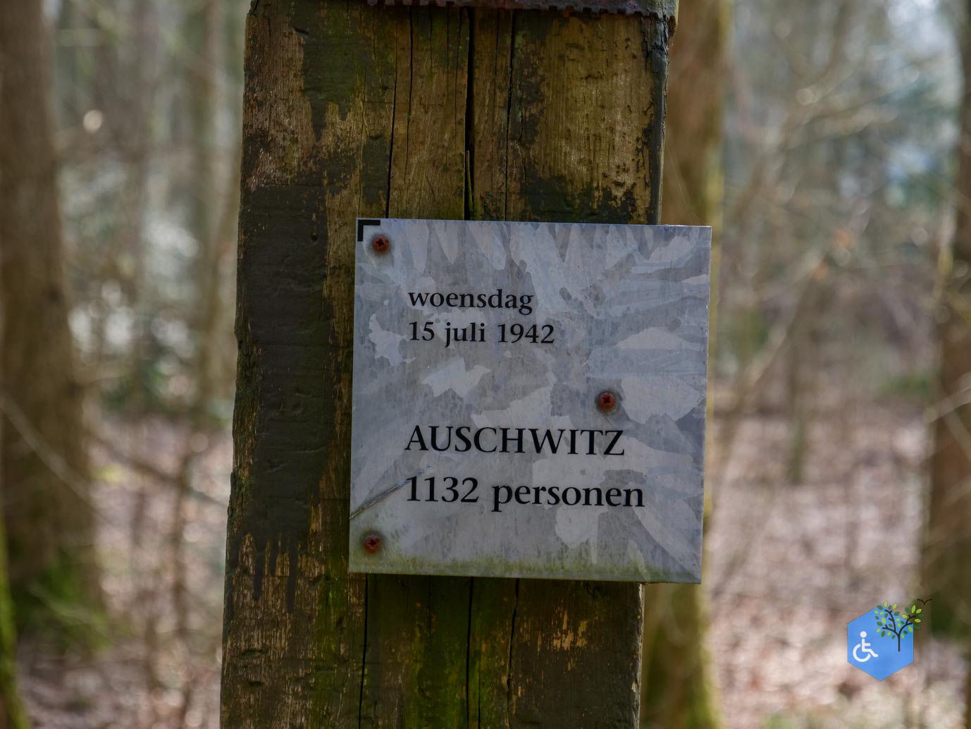 Hooghalen_Kamp_Westerbork_08-03-2026-1